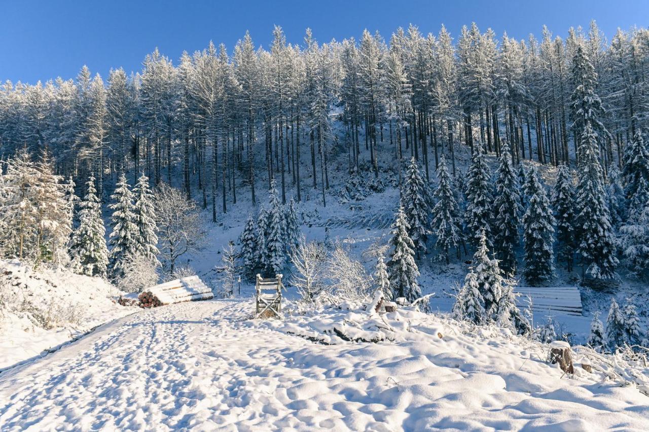 Tiny House Nature 17 - Green Tiny Village Harz Osterode am Harz المظهر الخارجي الصورة