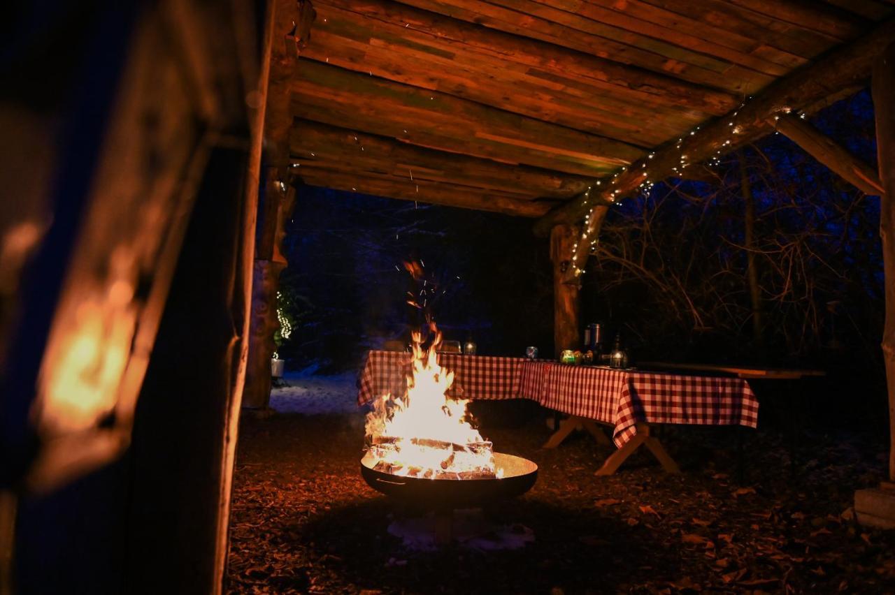 Tiny House Nature 17 - Green Tiny Village Harz Osterode am Harz المظهر الخارجي الصورة